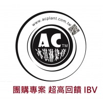 AC 天然染髮膏 大盒 (十盒)